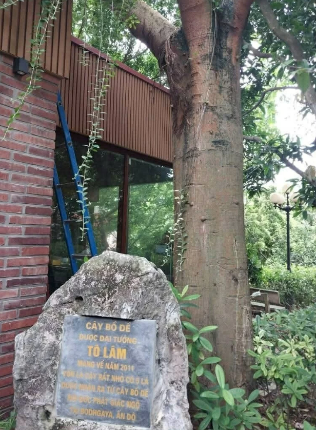General Secretary and President To Lam’s visit to India: A partnership in challenging times